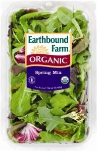 Image of Earthbound Farm Organic Classic Baby Greens, Spring Mix, 1 lb